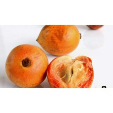 African Cherry Orange
