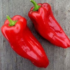 Ancho Pepper