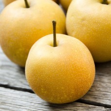 Asian Pear