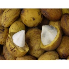 Bacuri Fruit