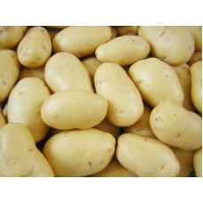 Batata