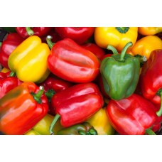 Bell Pepper