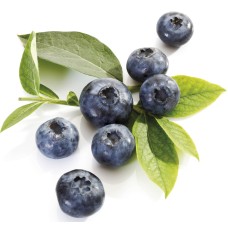 Blueberry