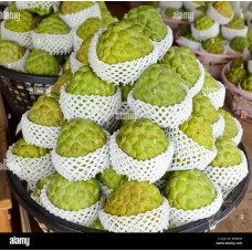 Buddha Apple