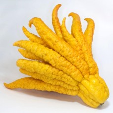 Buddha’s Hand