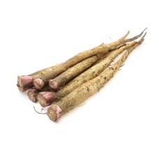 Burdock
