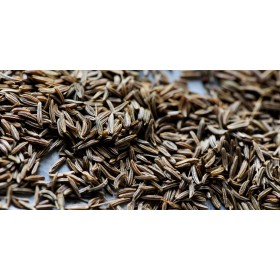 Caraway