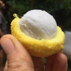 Charichuelo