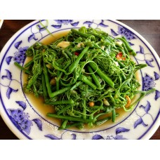 Chayote Shoots