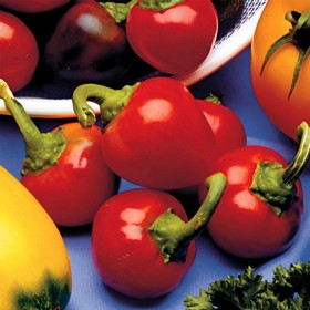 Cherry Pepper