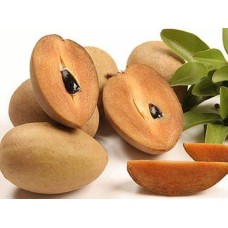 Chico Fruit