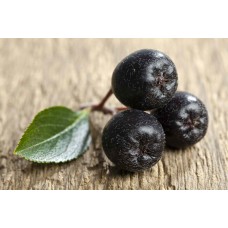 Chokeberry