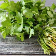 Cilantro
