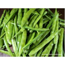 Cluster Beans