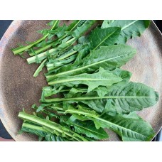 Dandelion Green