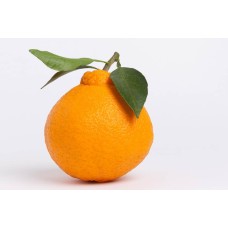 Dekopon
