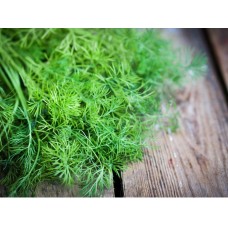 Dill
