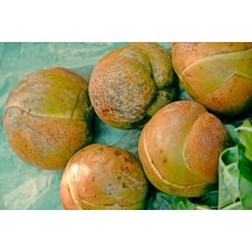 Elephant Apple