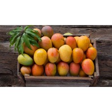 Fazli Mango