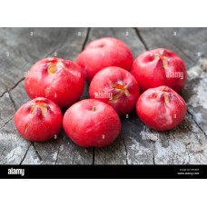 Fibrous Satinash