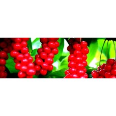 Five Flavor Berry