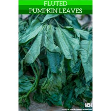 Fluted Pumpkin