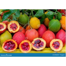 Gac Fruit