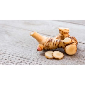 Galangal