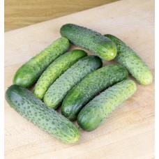 Gherkin
