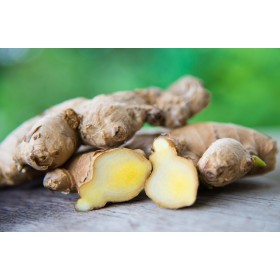 Ginger