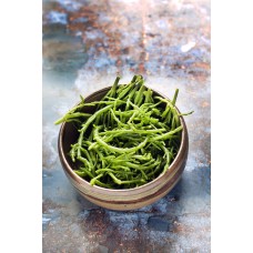 Golden Samphire