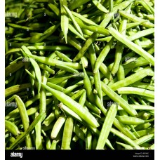 Guar