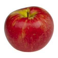 Honey Crisp Apple