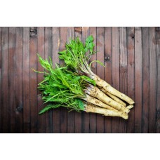 Horseradish