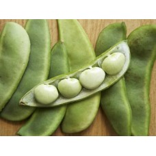 Hyacinth Bean