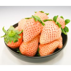 Ichigo