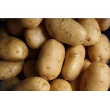 Idaho Potato