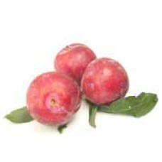 Indian Prune