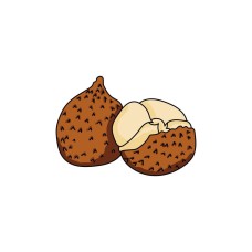 Ita Palm