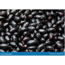 Jambolan