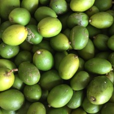June Plum