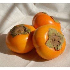 Kaki