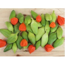 Kaywa