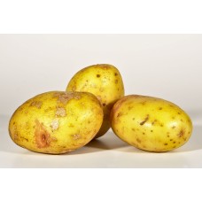 King Edward Potato