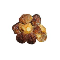 Kutjera
