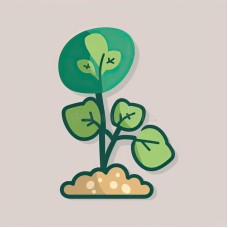 Land Cress