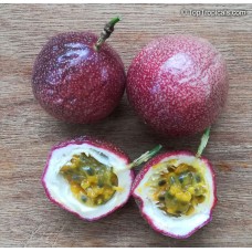 Miyama Cherry