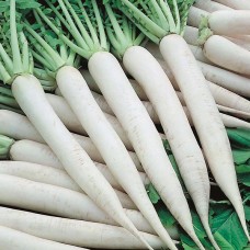 Mooli
