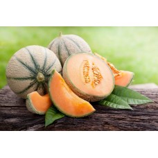 Muskmelon
