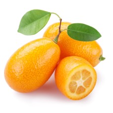 Nagami Kumquat
